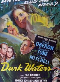 在线观看黑水,一场关于真相与阴谋的在线观影之旅