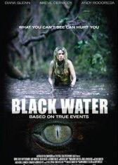 在线观看黑水,一场关于真相与阴谋的在线观影之旅 第2张 在线观看黑水,一场关于真相与阴谋的在线观影之旅 第2张