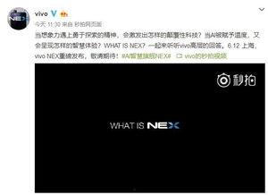 解读最新爆料视频,独家内幕大公开